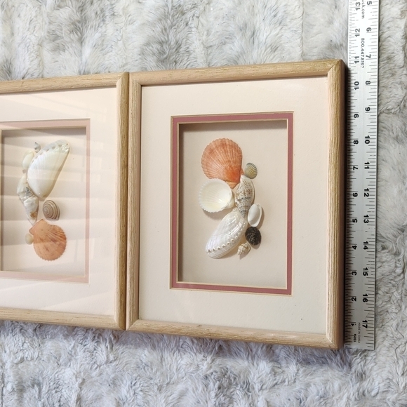 Vintage 2 Real Seashell Shadow Boxes Wooden Framed Wall Coastal Beach Art - Picture 5 of 9